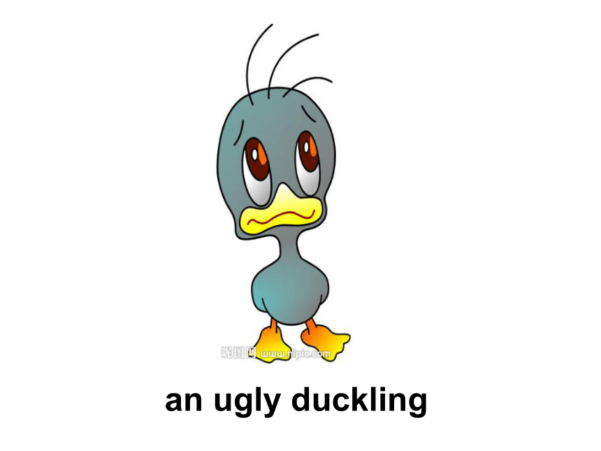 Unit 12 The ugly duckling 课件