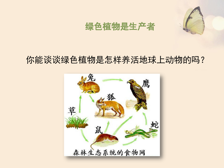 北师大版七年级上册生物  7.1 绿色植物在生物圈中的作用 课件 (24张PPT)