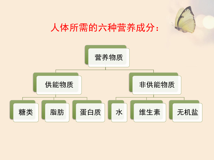 冀教版七下生物 1.1食物 课件（52张PPT）