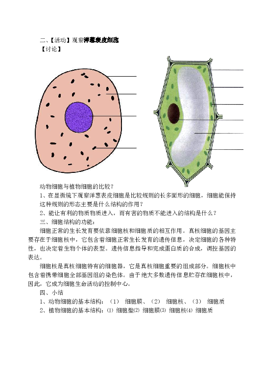 北师大版七上生物  3.1细胞的基本结构和功能 教案