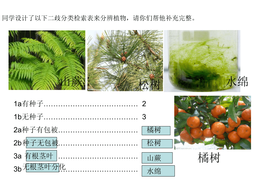 第2章 观察生物（常见的动物和植物） 复习