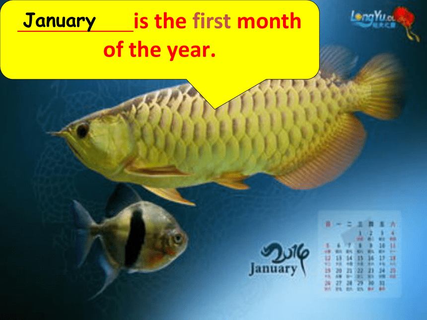 Unit 4 January is the first month Lesson 22 课件