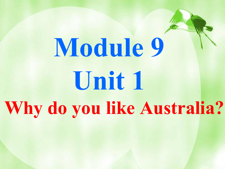 Module 9 Unit 1 Why do you like Australia 课件(共19张PPT)