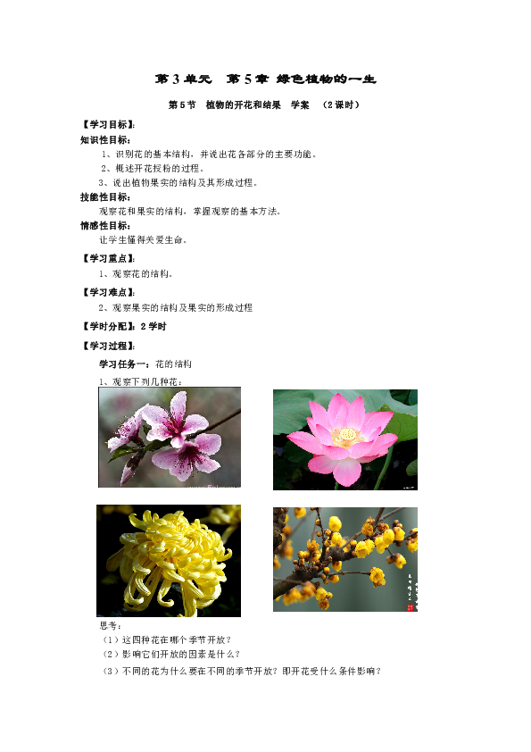 5.5 植物的开花和结果 学案（2课时，无答案）