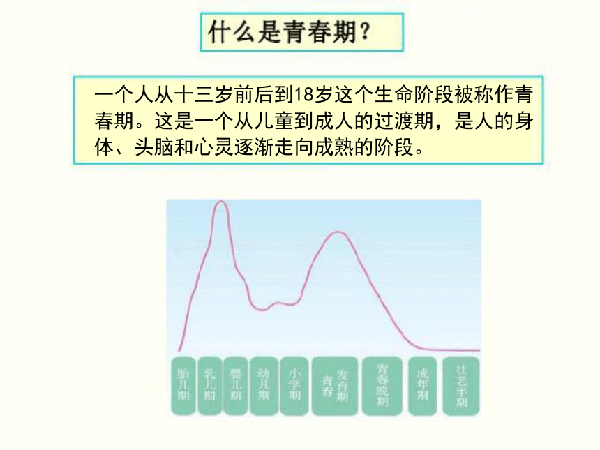 6.1花季雨季 课件