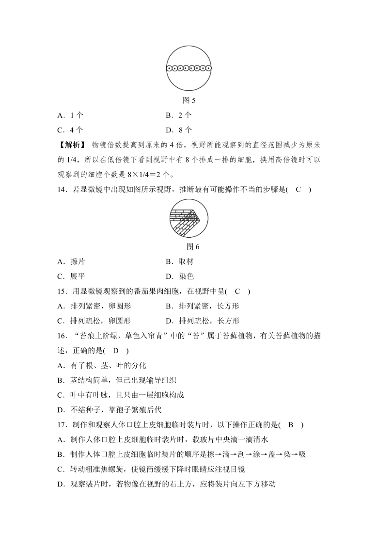 华师大版科学七年级上 第4章生物体的结构层次 核心素养评估试卷（word版有答案）