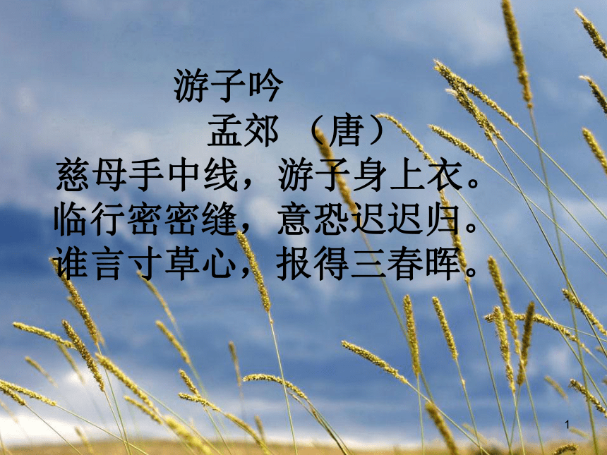 《慈母情深》  (共34张PPT)