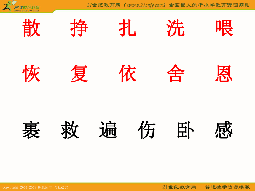二年级语文下册课件 幸运的小海豹（北京版）