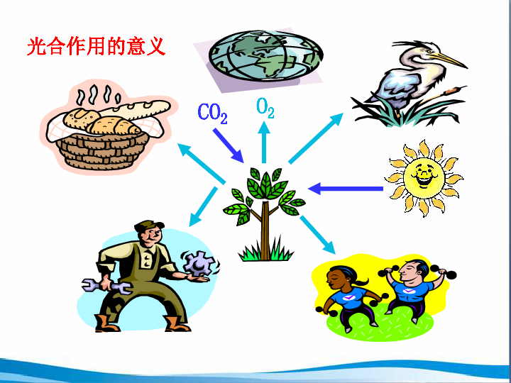 第一节绿色植物是食物之源光合作用的意义co2o21 四人一组 ,说出平常