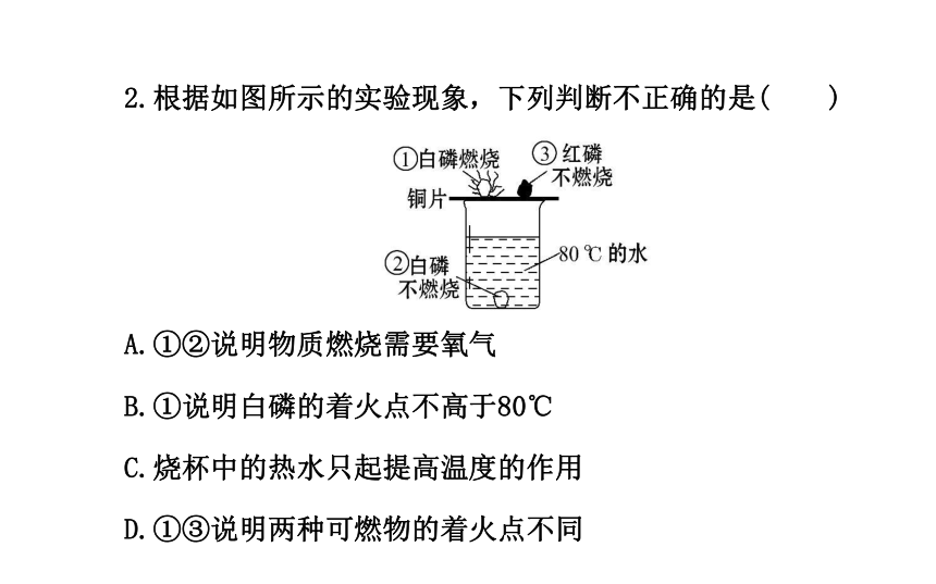 实验活动 3 燃烧的条件