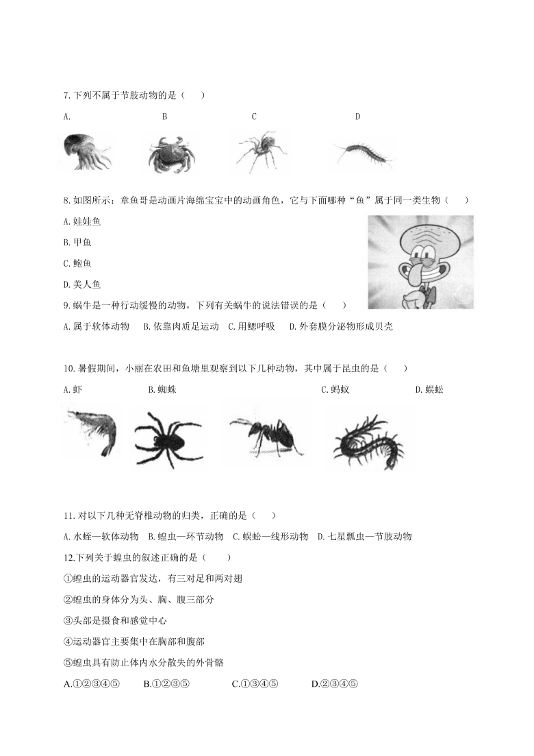 广东省高州市2020-2021学年第一学期八年级生物10月联考试题（word版，含答案）