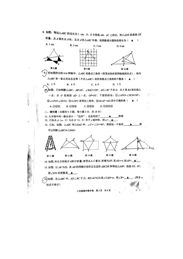 浙江省台州市椒江二中2020学年第一学期试卷八年级数学（扫描版无答案）