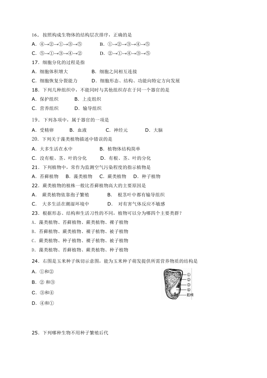 新疆乌鲁木齐市2017-2018学年七年级上学期期末考试生物试题