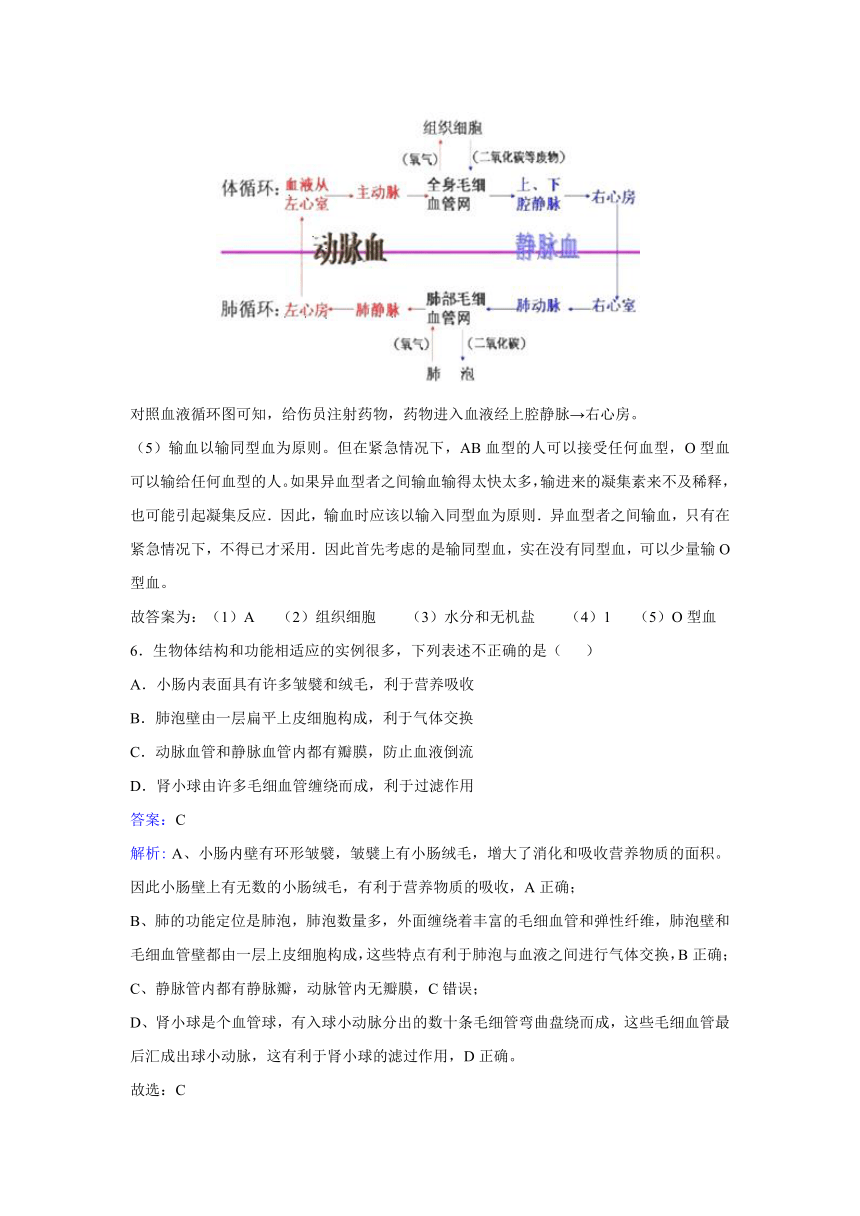 中考生物专题复习：生物圈中的人