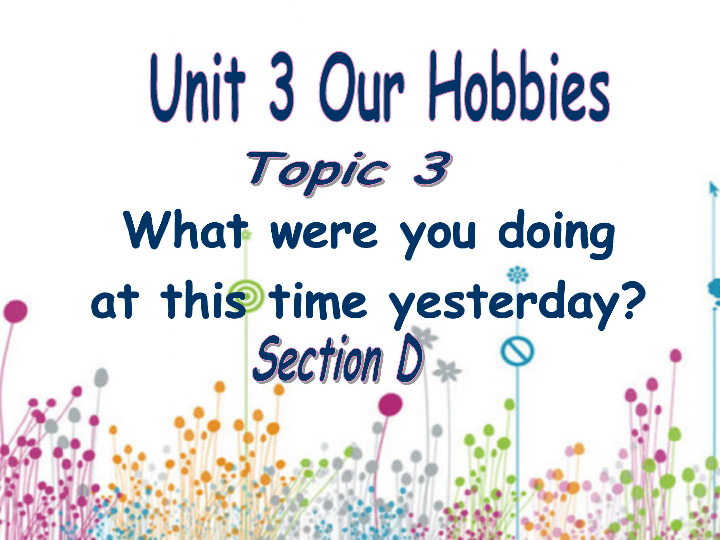 Unit 3 Our Hobbies Topic 3 What were you doing at this time yesterday? Section D 课件17张PPT