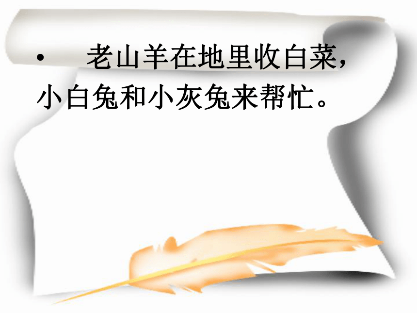 小白兔和小灰兔       课件