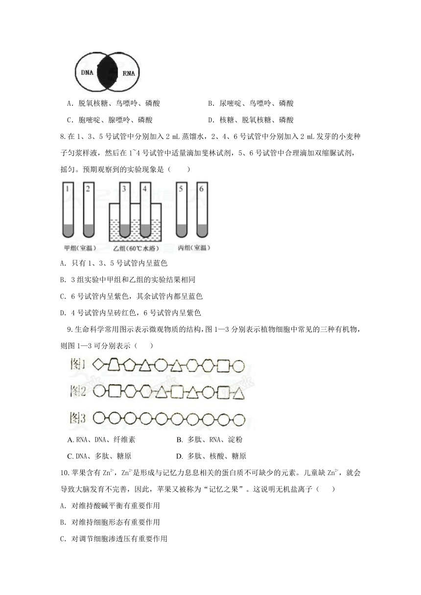 河北省高阳中学2017-2018学年高一1月月考生物试题