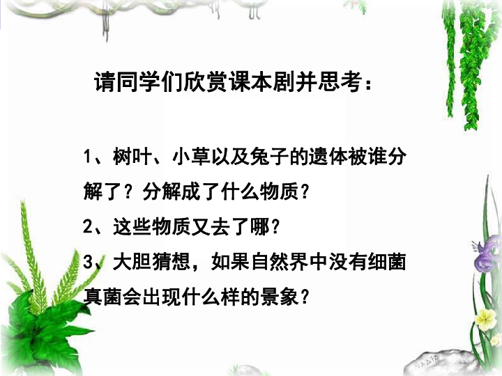 细菌和真菌在自然界中的作用课件(共27张PPT)