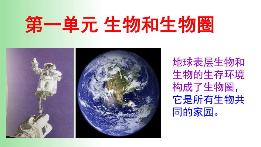 2021——2022学年人教版七年级生物上册1.1.1. 生物的特征 课件（17张PPT）