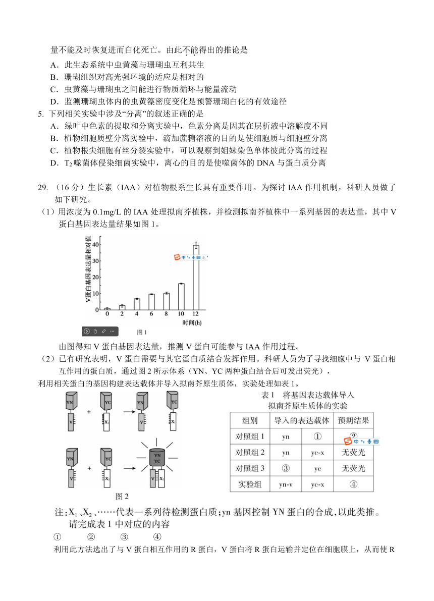 北京市朝阳区2017届高三二模考试 理综生物