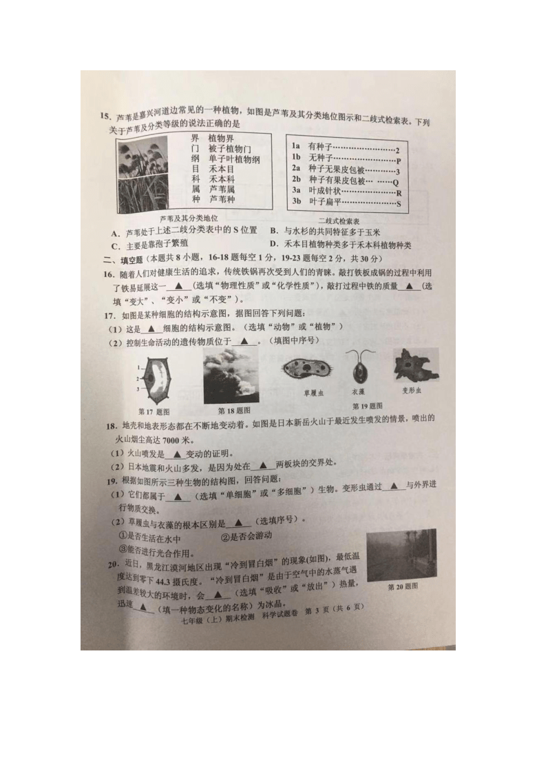 浙江省嘉兴市2020学年第一学期七年级上册期末检测科学试题卷（图片版 无答案）