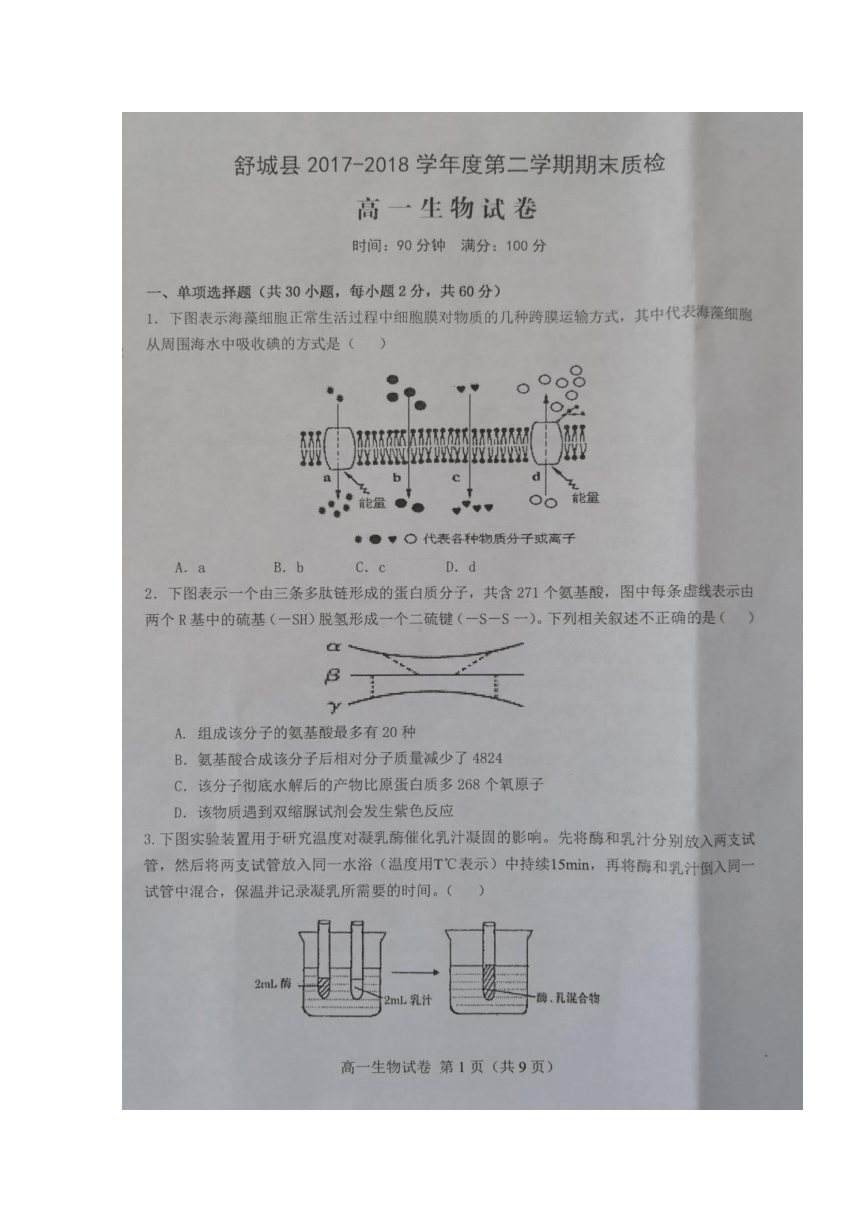 安徽省六安市舒城县2017-2018学年高一下学期期末考试生物试题扫描版