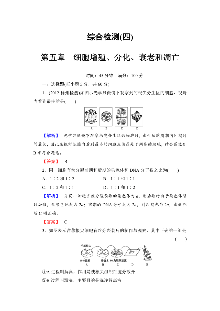 【课堂新坐标，同步备课参考】2013-2014学年高中生物（苏教版）必修1综合检测4第5章 细胞增殖、分化、衰老和凋亡