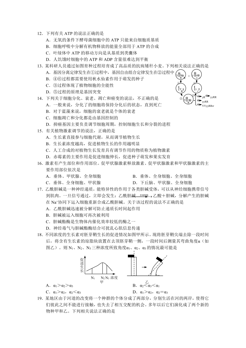 吉林省公主岭实验中学2013届高三上学期期末考试生物试题