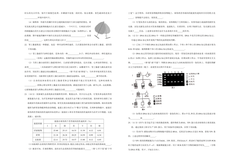 山东省（新高考）2021届高三下学期3月第二次模拟考试卷 生物（四）Word版含解析