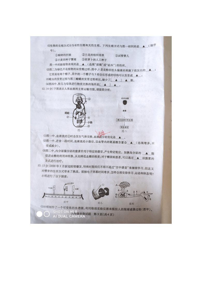 江苏省睢宁县2020-2021学年上学期八年级上册生物期末试卷 （图片版，无答案）
