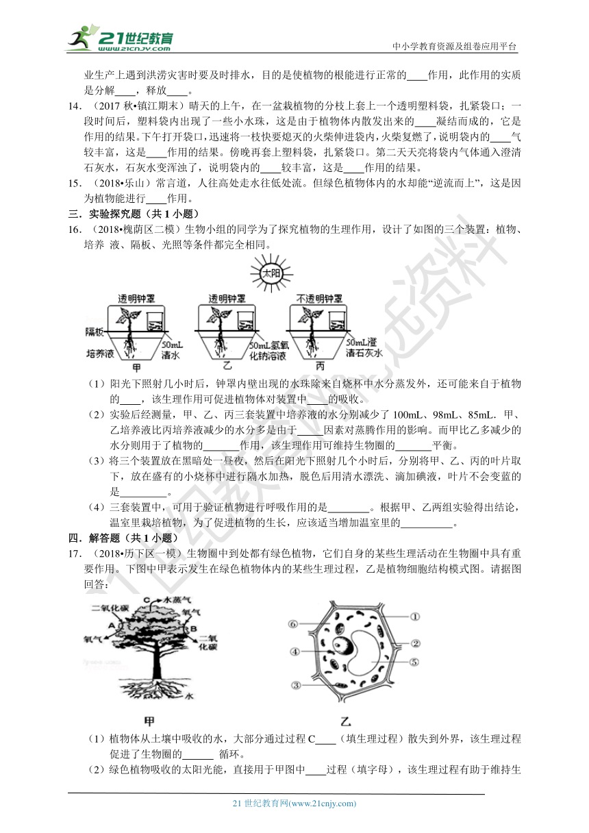 4.2 水在植物体中的代谢 同步练习