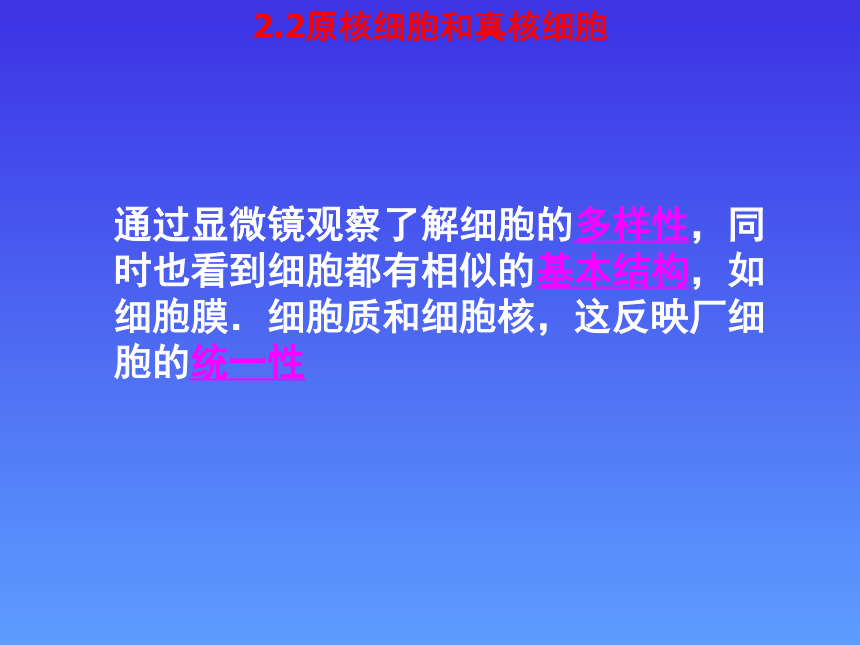 人教版高中生物必修一第一章第2节1.2 细胞的多样性与统一性-课件（39张）