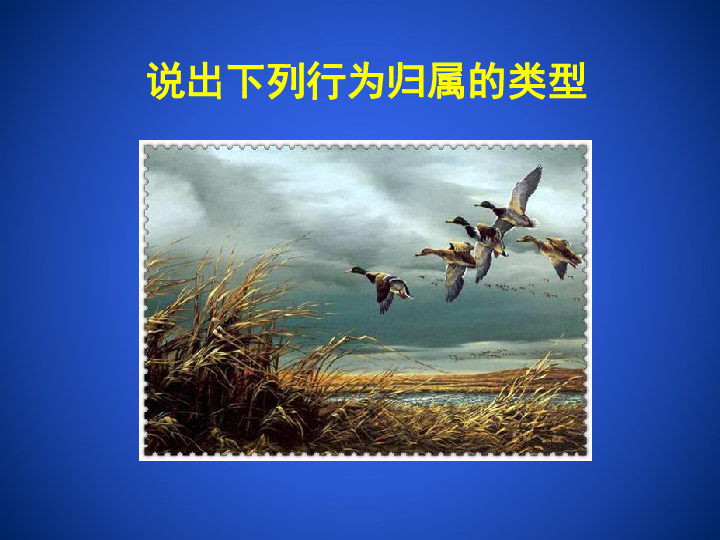 京改版八上生物  9.2 动物的行为 课件(32张PPT)