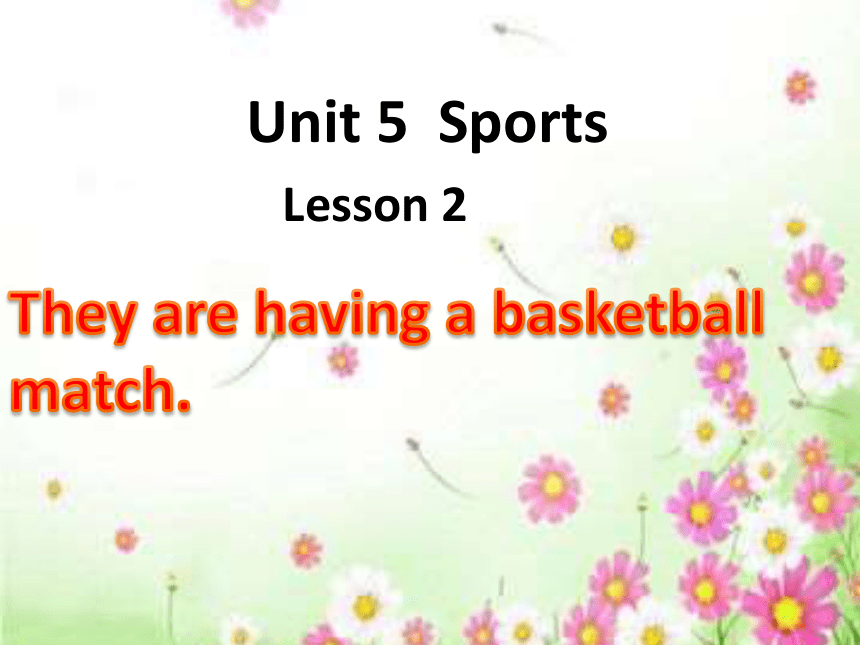 Unit 5 Sports Lesson 2 They are having a basketball match课件