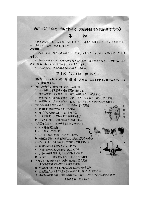 2019年四川省内江市中考生物试题（图片版，无答案）