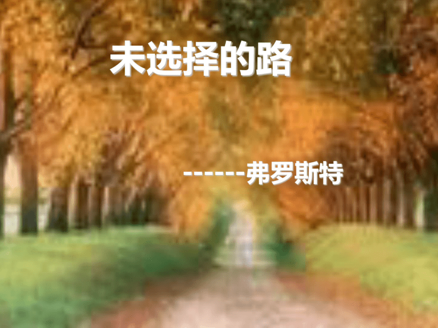 鲁教版《未选择的路》课件