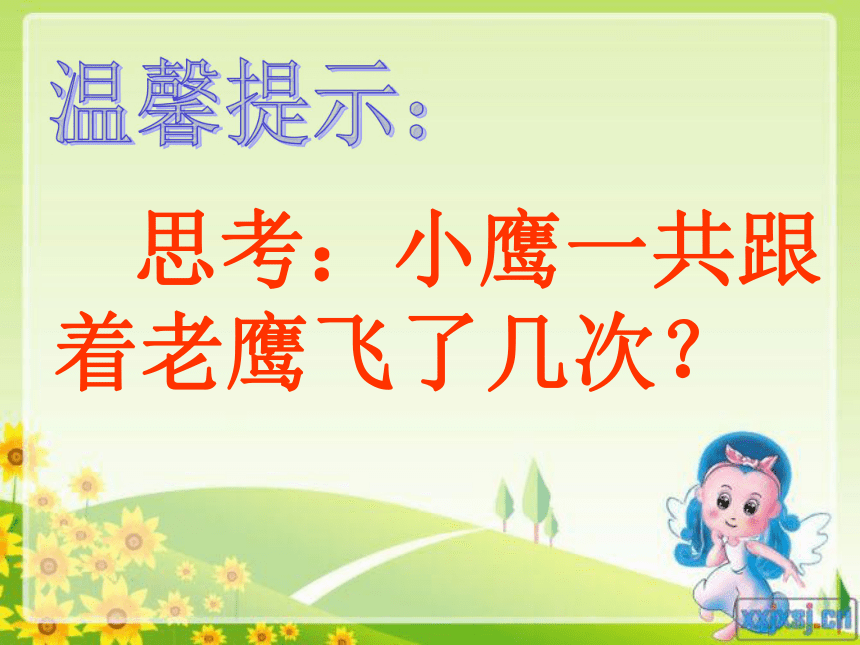 小鹰学飞.ppt