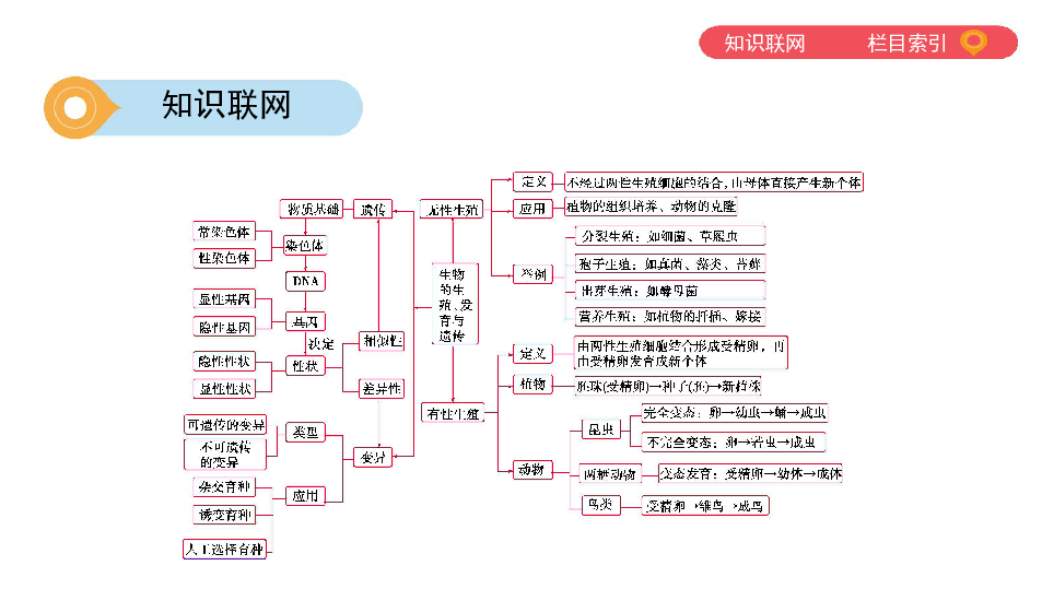 2020版中考生物一轮复习（泰安专版）专题五　生物圈中生命的延续和发展课件（31张PPT）