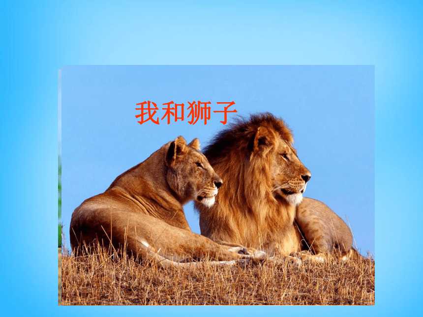 四年级上语文课件（B）-我和狮子沪教版（2015秋）