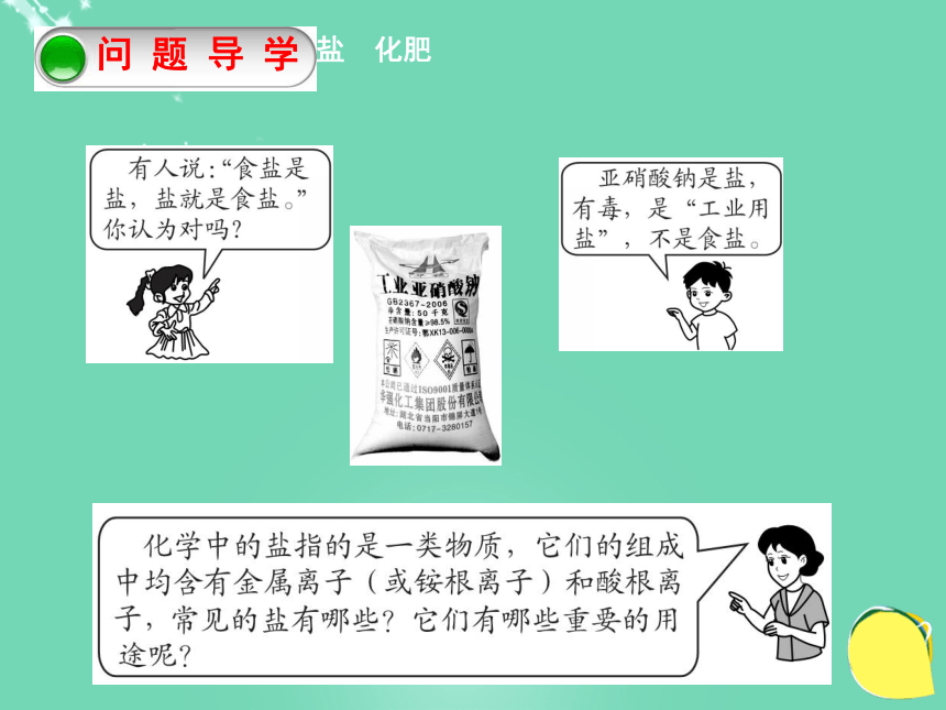 人教版化学九年级下册第十一单元 课题2 化学肥料  课件(ppt  共19张)