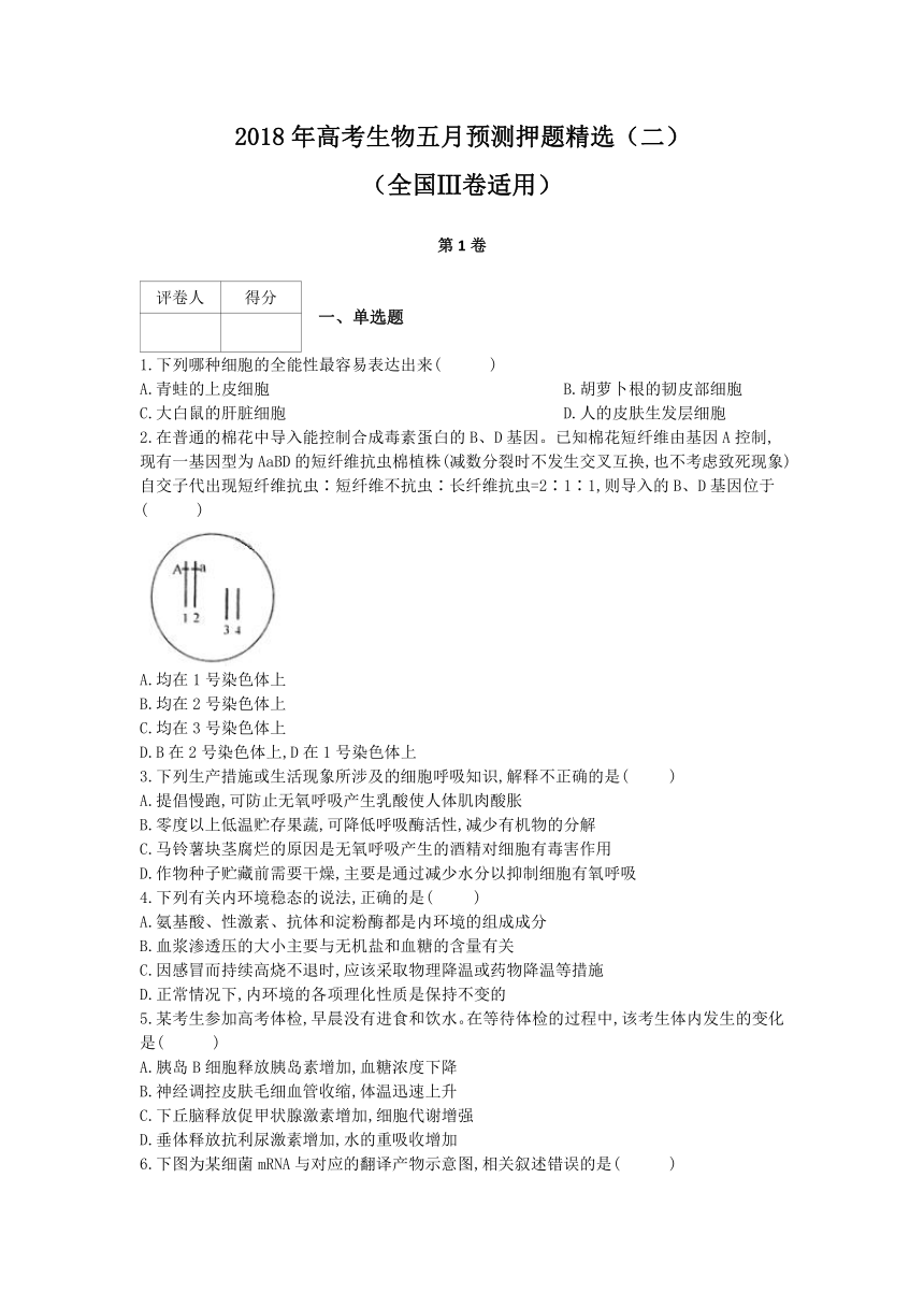 2018年高考生物五月预测押题精选：（二）（全国Ⅲ卷适用）