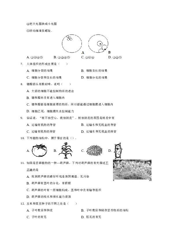 江西省南城2018-2019学年七年级上学期期末联考生物试题（无答案）