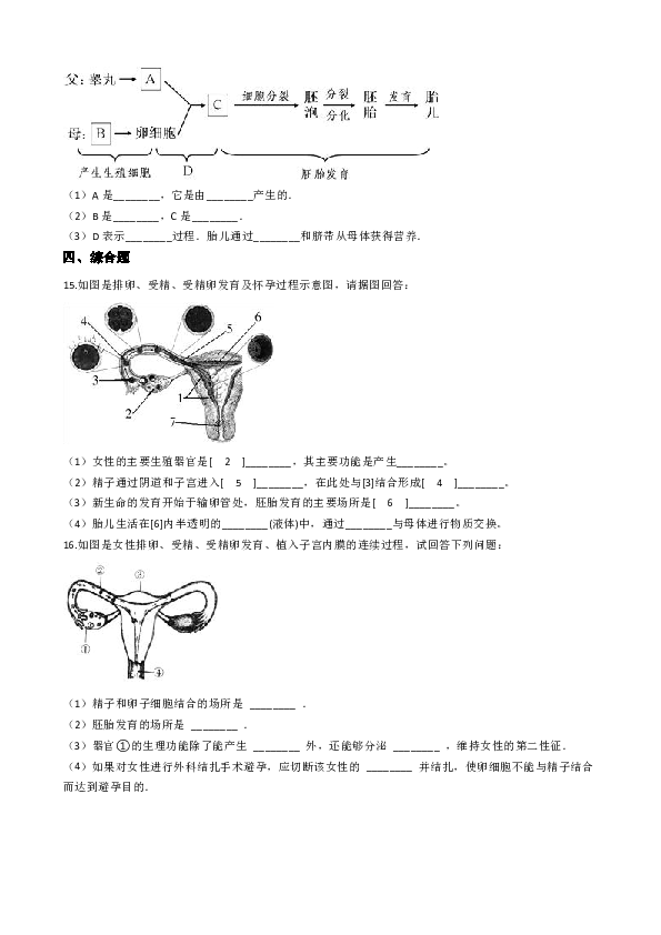 冀教版八下生物 6.1.3人的生殖和胚胎发育 同步练习（含解析）