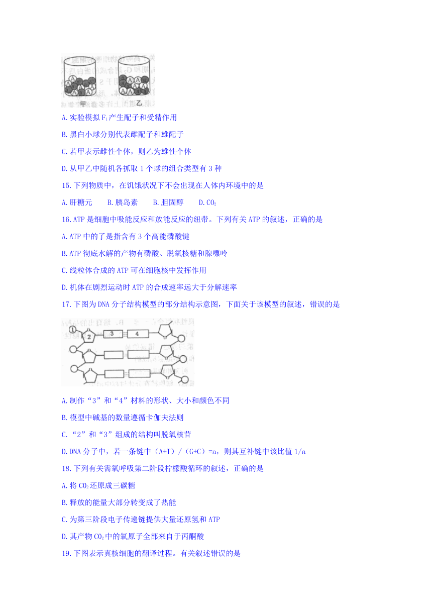 浙江省2017届高三3月稽阳联谊学校选考生物试题 Word版含答案