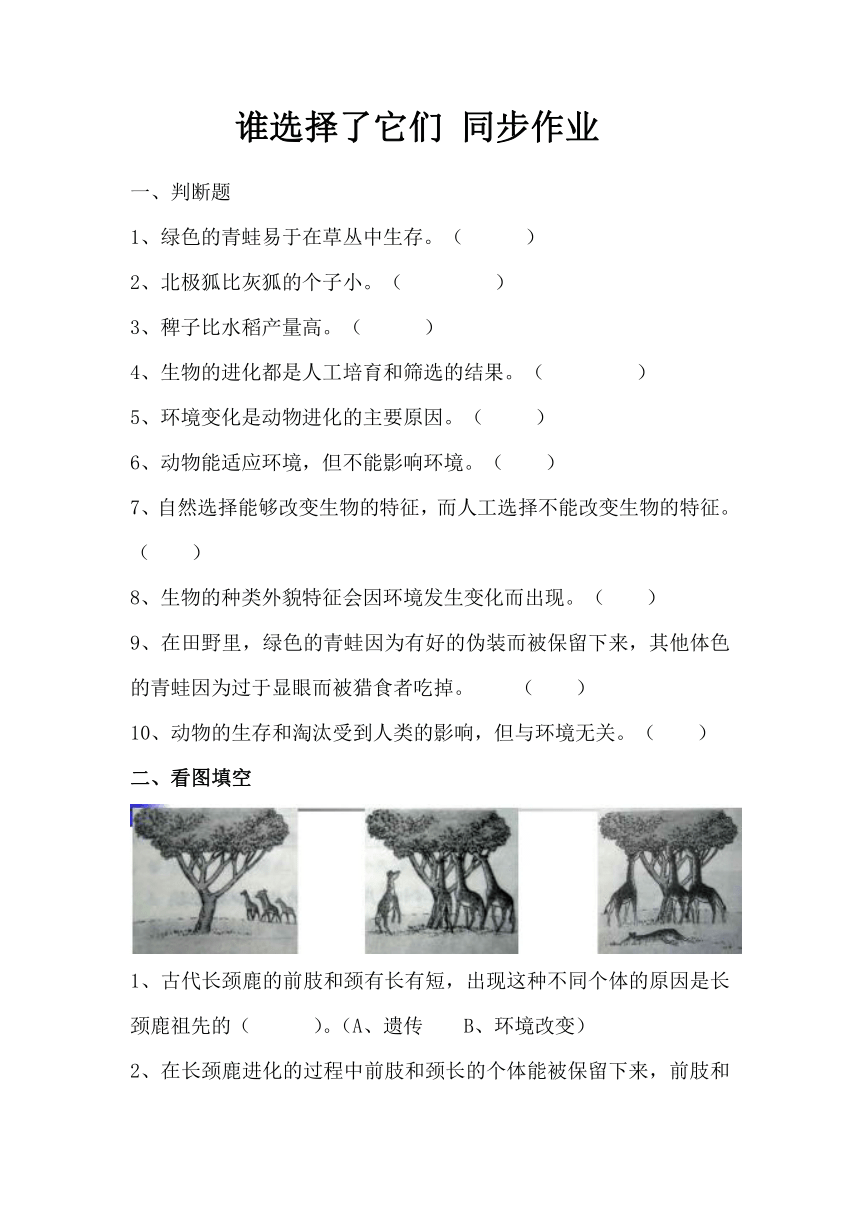 4.7谁选择了它们 同步作业