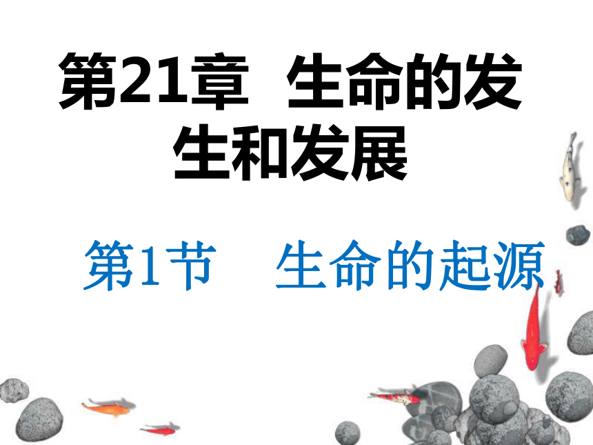 北师大版八年级下册第七单元211生命的起源课件共28张ppt