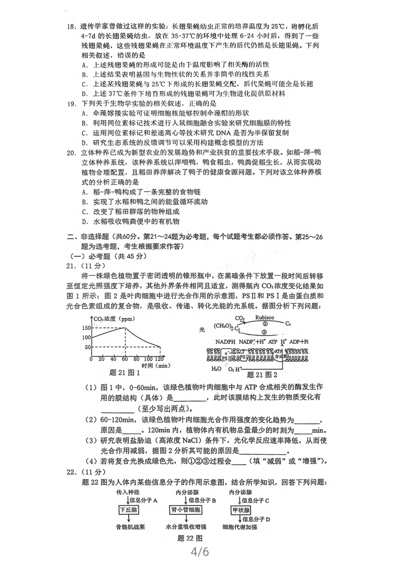 2021年重庆市普通高中学业水平选择性考试高三第二次联合诊断检测生物试卷    含答案 PDF