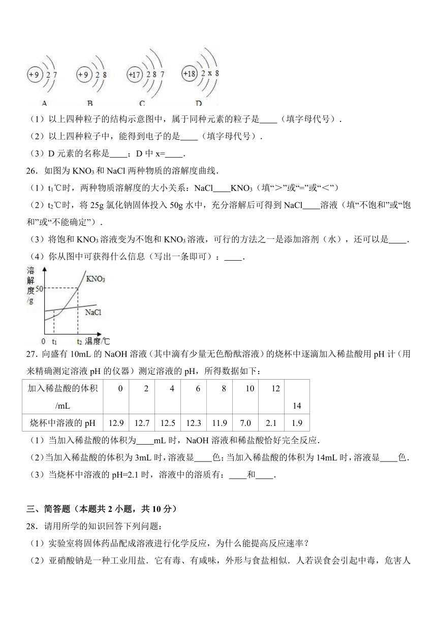 湖南省株洲市茶陵县湖口中学2016-2017学年九年级（下）第一次月考化学试卷（解析版）