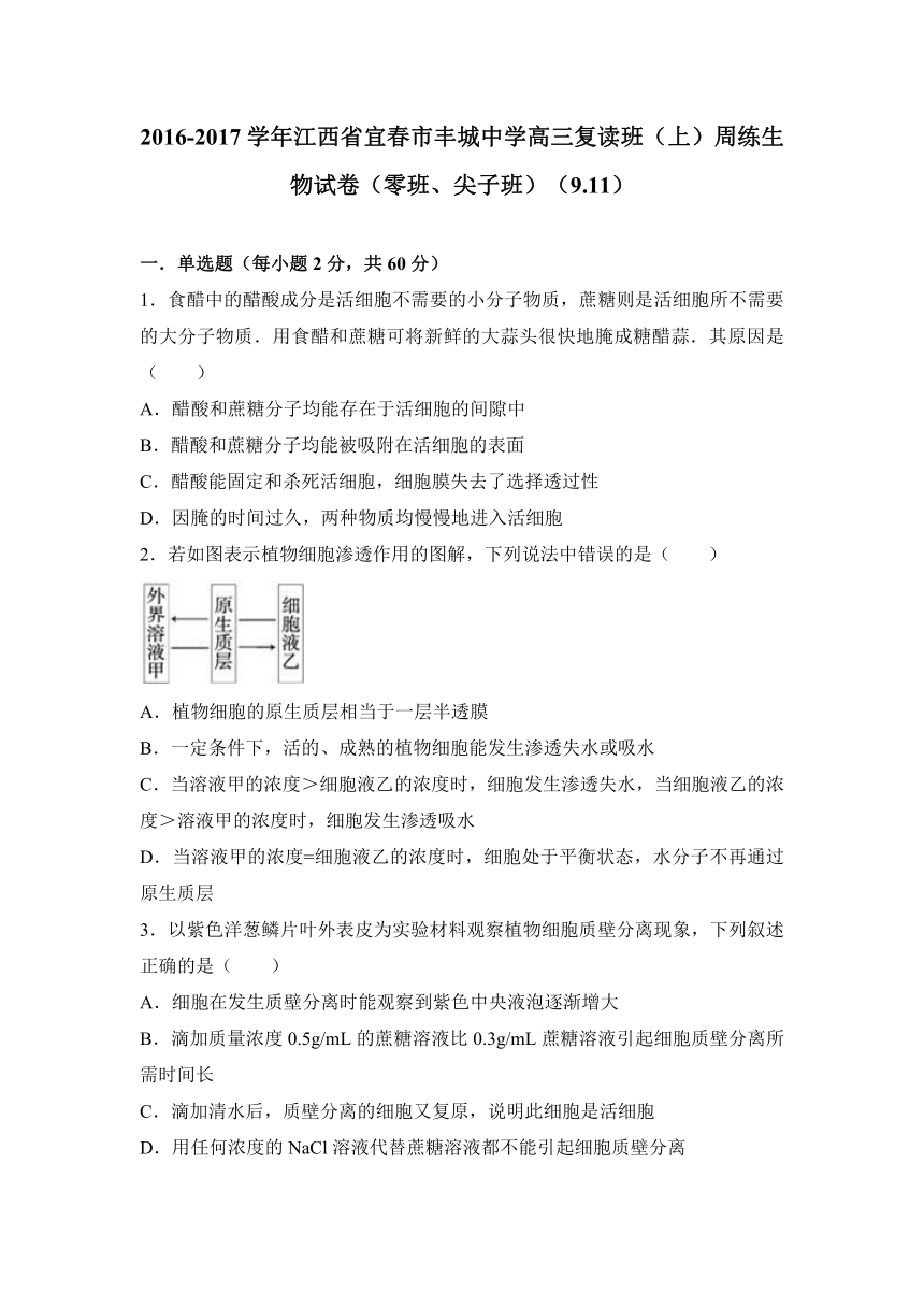 江西省宜春市丰城中学2017届高三复读班（上）周练生物试卷（零班、尖子班）（9.11）（解析版）