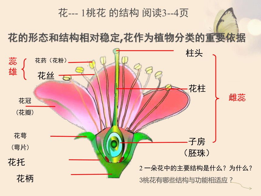 411花的结构和类型课件共22张ppt20212022学年济南版八年级上册生物